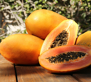 Papaya