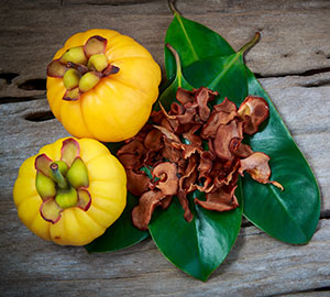 Garcinia Cambogia Extract